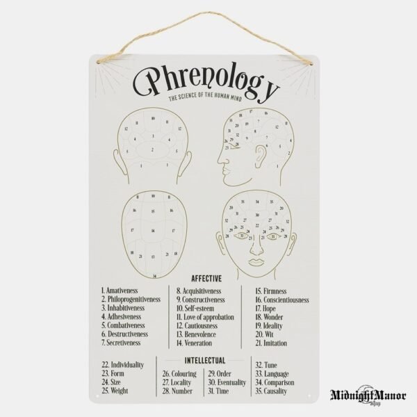 Veidoskaitos Frenologijos Paaiškinimų Metalinė Iškaba