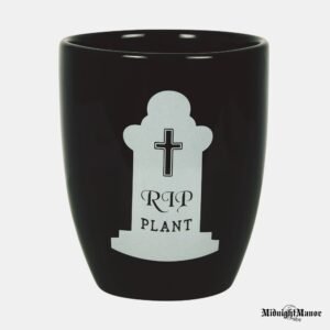 Nuvytusių Augalų Vazonėlis iš Apleisto Gotiško Sodo