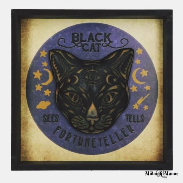 Būrėja Likimo Pranašautoja Juodoji Katė