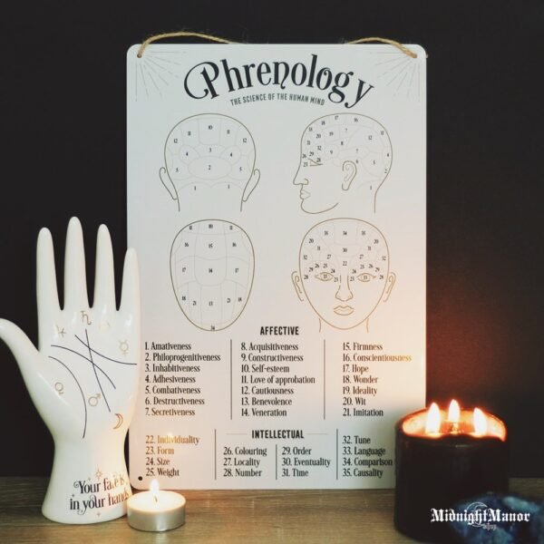 Veidoskaitos Frenologijos Paaiškinimų Metalinė Iškaba