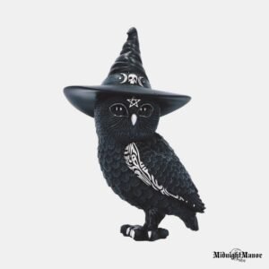 Išminties Pelėda Juodoji Pelėda Pelėdžiukė su Skrybėle