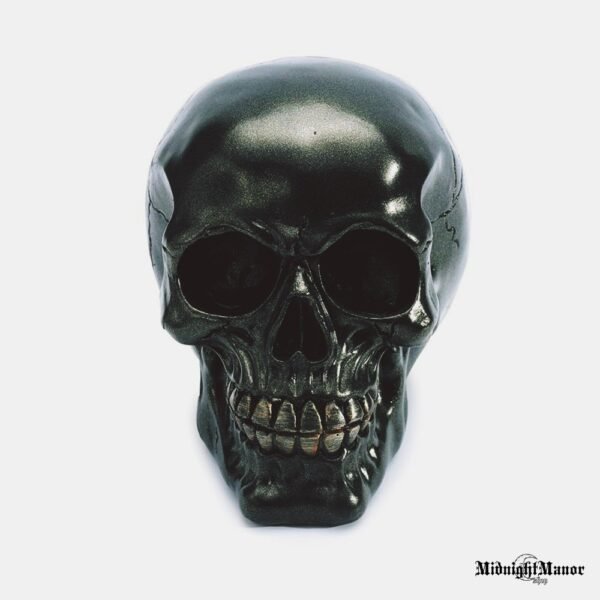 Tamsos Baikeris Juoda Metalo Blizgesio Kaukolė Skull