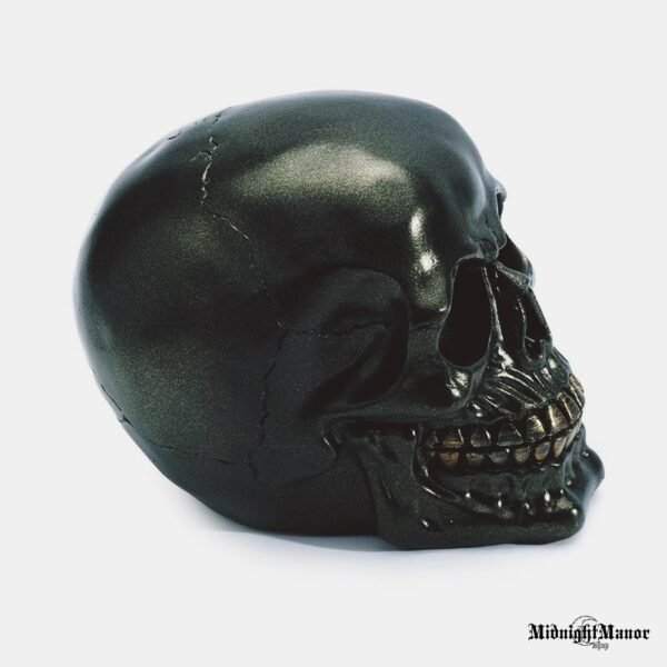 Tamsos Baikeris Juoda Metalo Blizgesio Kaukolė Skull