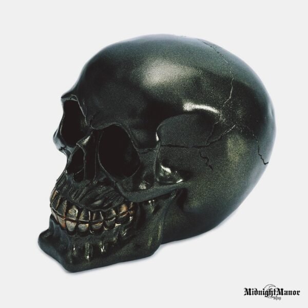 Tamsos Baikeris Juoda Metalo Blizgesio Kaukolė Skull