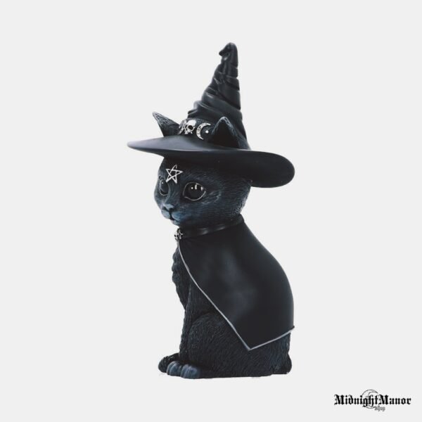 Katytė Raganaitė Juoda Katė su Raganos Skrybėle