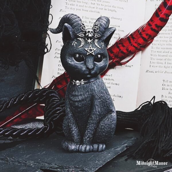 Katytė Velniukė Raguota Okultinė Katė