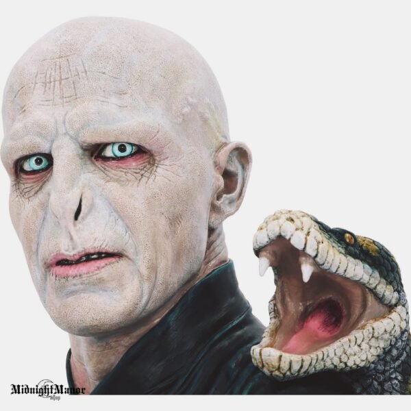 Valdovas Voldemortas Hario Poterio Oficiali Kolekcija