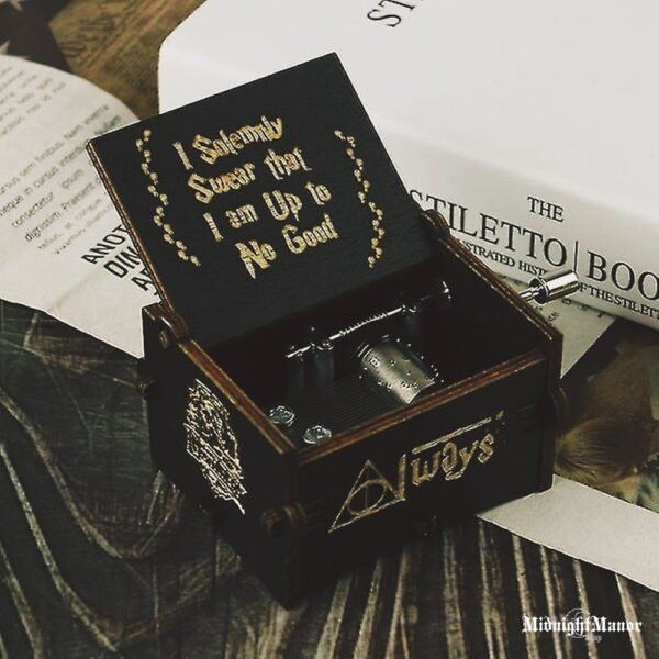 Muzikinė Dėžutė Hario Poterio Juoda