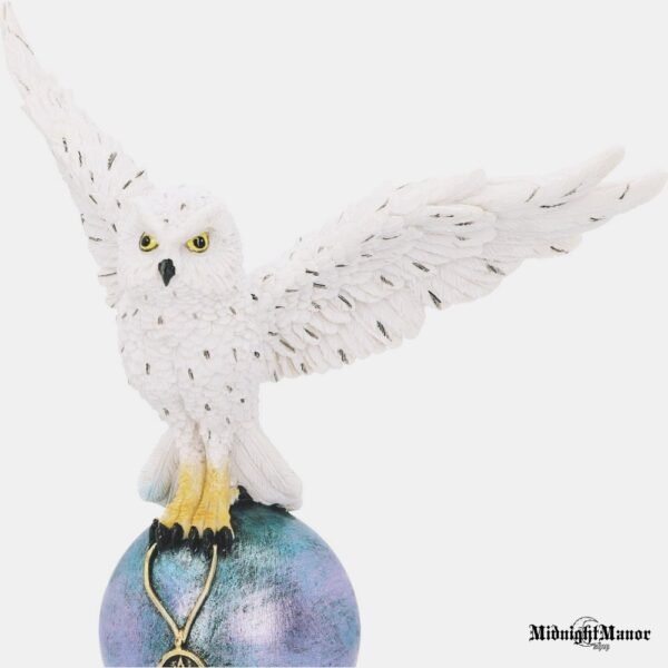 Hedviga Hario Poterio Balta Magiškoji Pelėda