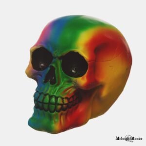 Vaivorykštė Vudstoko Psichodelinė Kaukolė Woodstock Burning Man