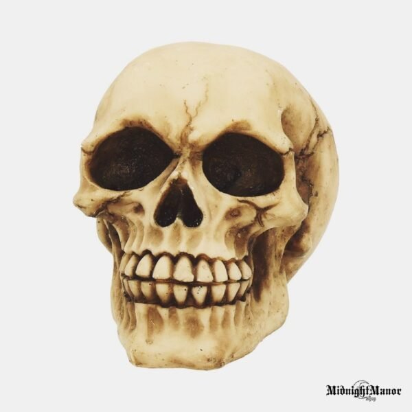 Realistiška Žmogaus Kaukolė Džokerio Besišypsanti Kaukolė