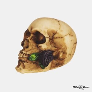 Violetinė Rožė Negyvuose Kaukolės Dantyse Purple Rose