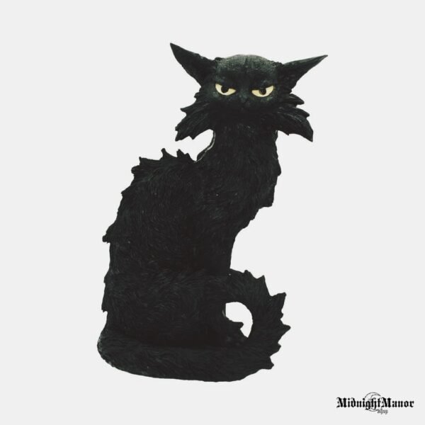 Raganų Inkvizicijos Miestelio Juodasis Katinas Salemas