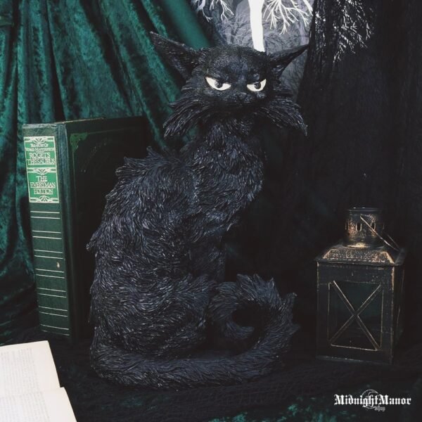 Raganų Inkvizicijos Miestelio Juodasis Katinas Salemas