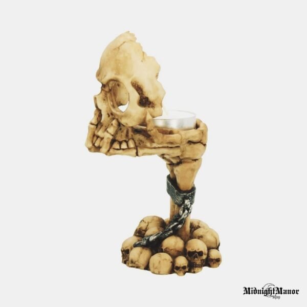 Žvakidė Kaukolė Apmąstymai Šaltose Skeletų Rankose